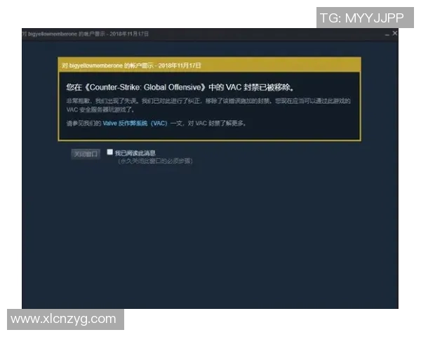 CSGO专题分析：深入探讨WE战队在比赛中的心理素质与应对策略