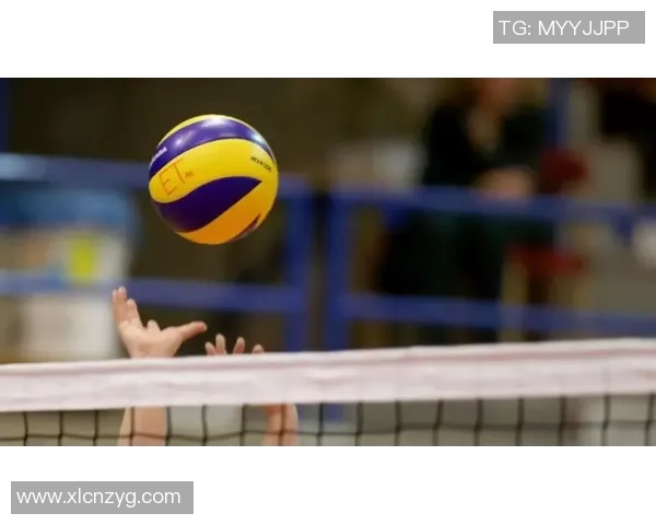 深度对话:周娜如何在排球人生中追寻梦想与突破自我