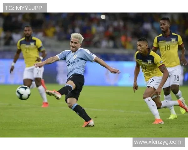 美洲杯精彩对决厄瓜多尔迎战智利球队全力争胜