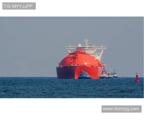 神户船与名古屋的激烈对决展现足球魅力与团队精神的巅峰较量