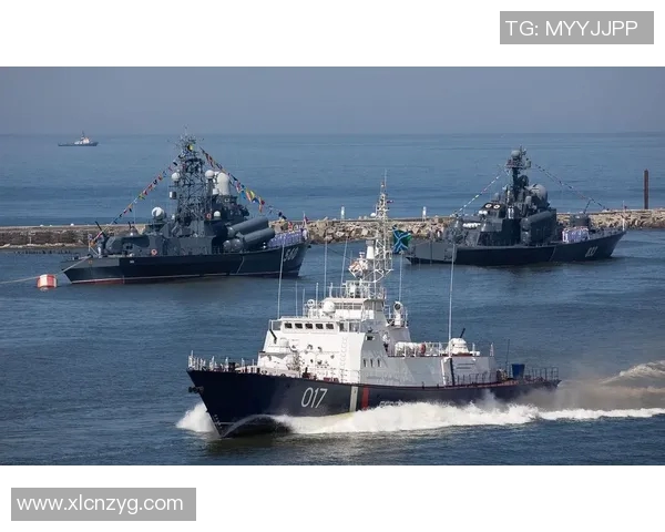 芬兰与爱沙尼亚历史渊源探讨及两国关系演变分析