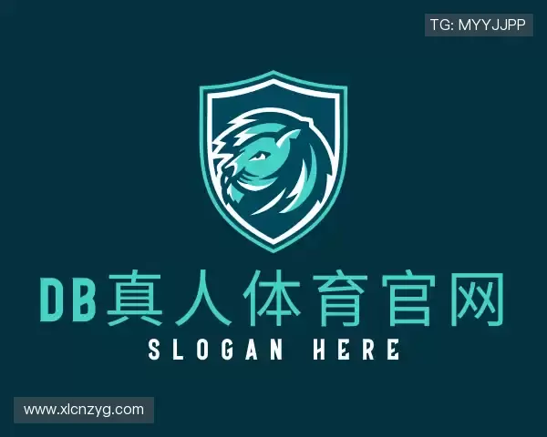 解读DB视讯平台